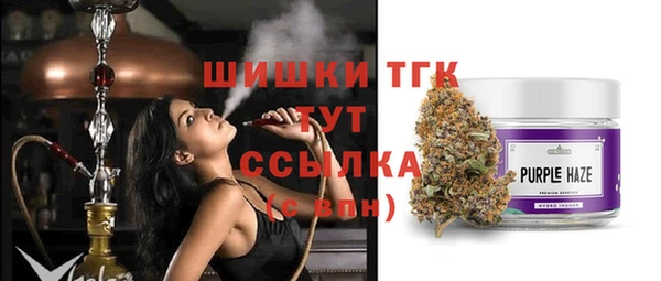 эйфоретик Пересвет