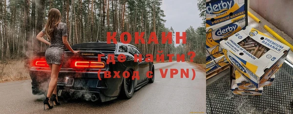 ГАЛЛЮЦИНОГЕННЫЕ ГРИБЫ Аркадак