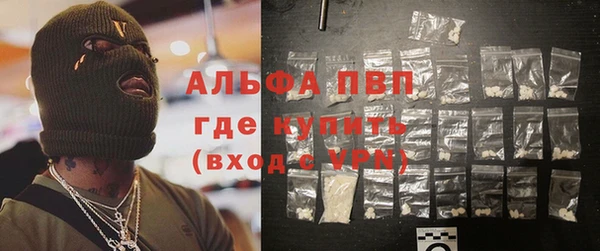 индика Арсеньев