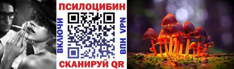 даркнет сайт Аткарск Псилоцибиновые грибы Magic Shrooms